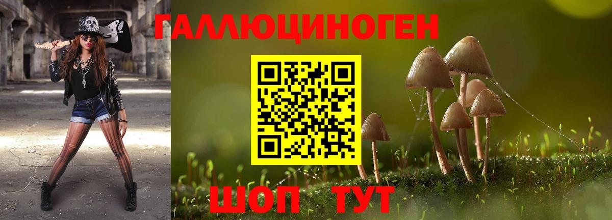 Моздок  купить наркотики цена  Вход с VPN  Псилоцибиновые грибы Psilocybine cubensis 
